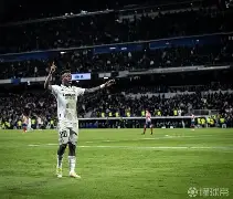  维斯利策尼 