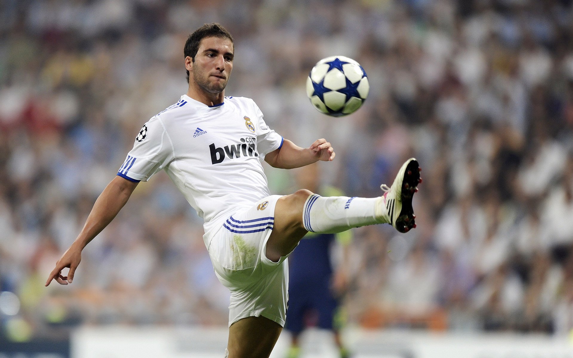 重要助攻首场状态出色,勇士观众沸腾!塔图姆重返赛场观众掌声雷动